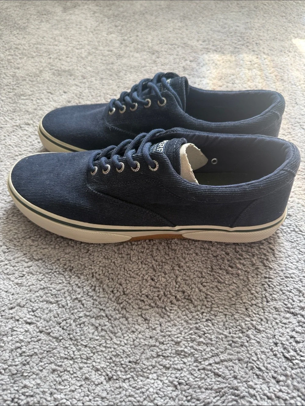 Sperry Men's Dark Navy Canvas Boat Shoes